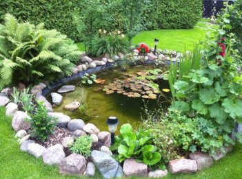 Teich - Wasser im Garten