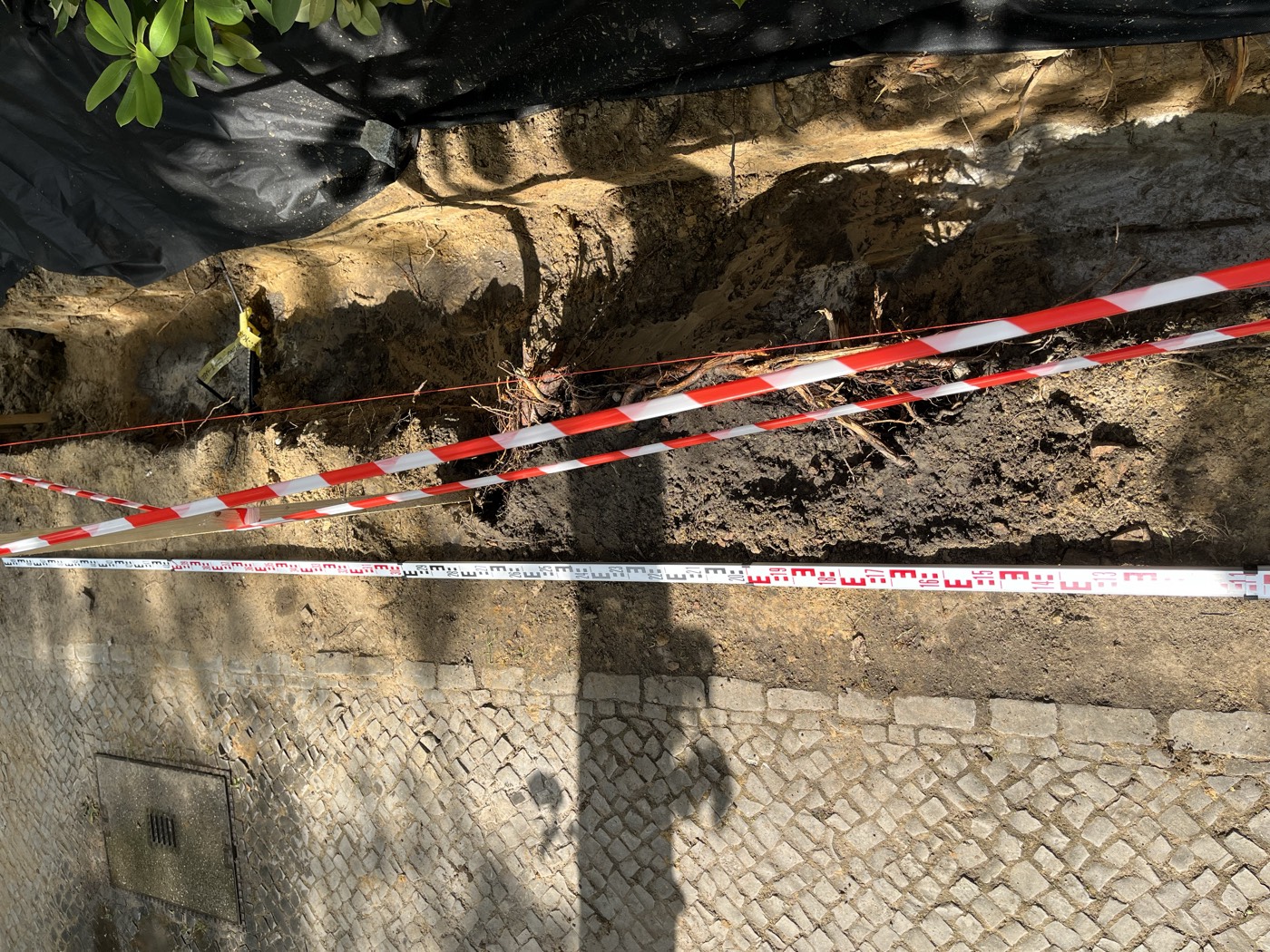 Baumschutzfachliche Baubegleitung