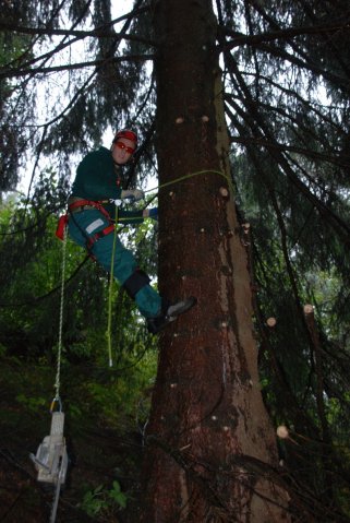 baumarbeiten0004