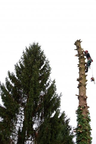baumarbeiten0008