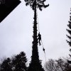 baumarbeiten0006