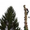 baumarbeiten0008