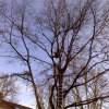 baumarbeiten0009