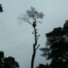 baumarbeiten0013