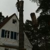 baumarbeiten0015