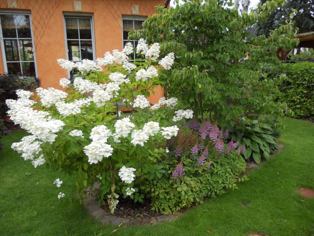 gartenanlage0009