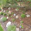 gartenanlage0004
