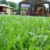 gartenanlage0006