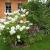 gartenanlage0009