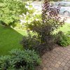 gartenanlage0016