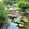 steinundteich0019