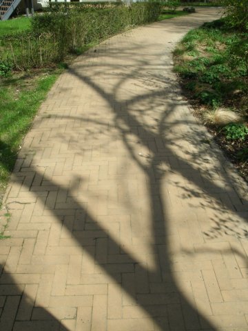 steinundteich0006