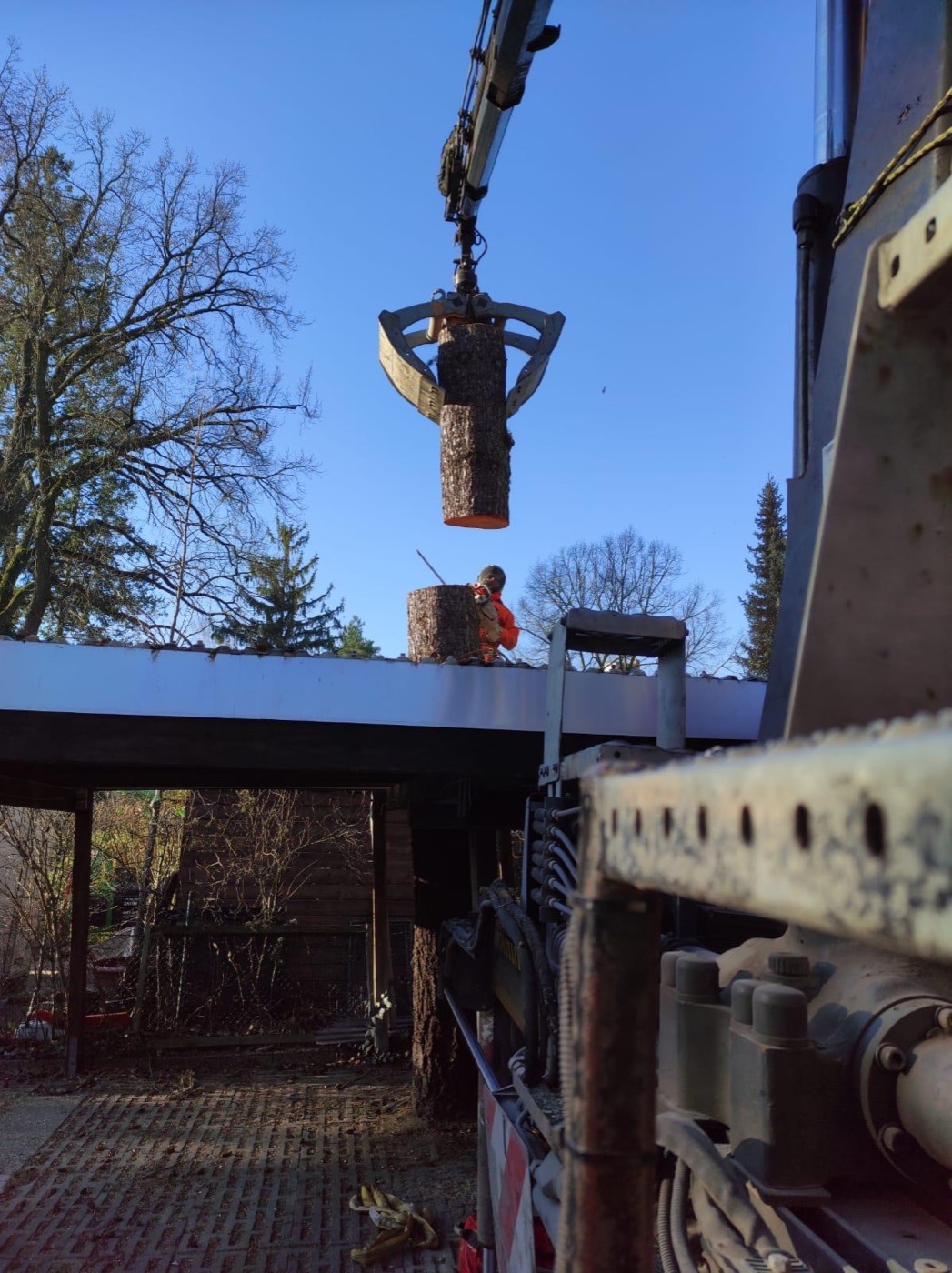 Baumfällung und Spezialfällung per Seilklettertechnik